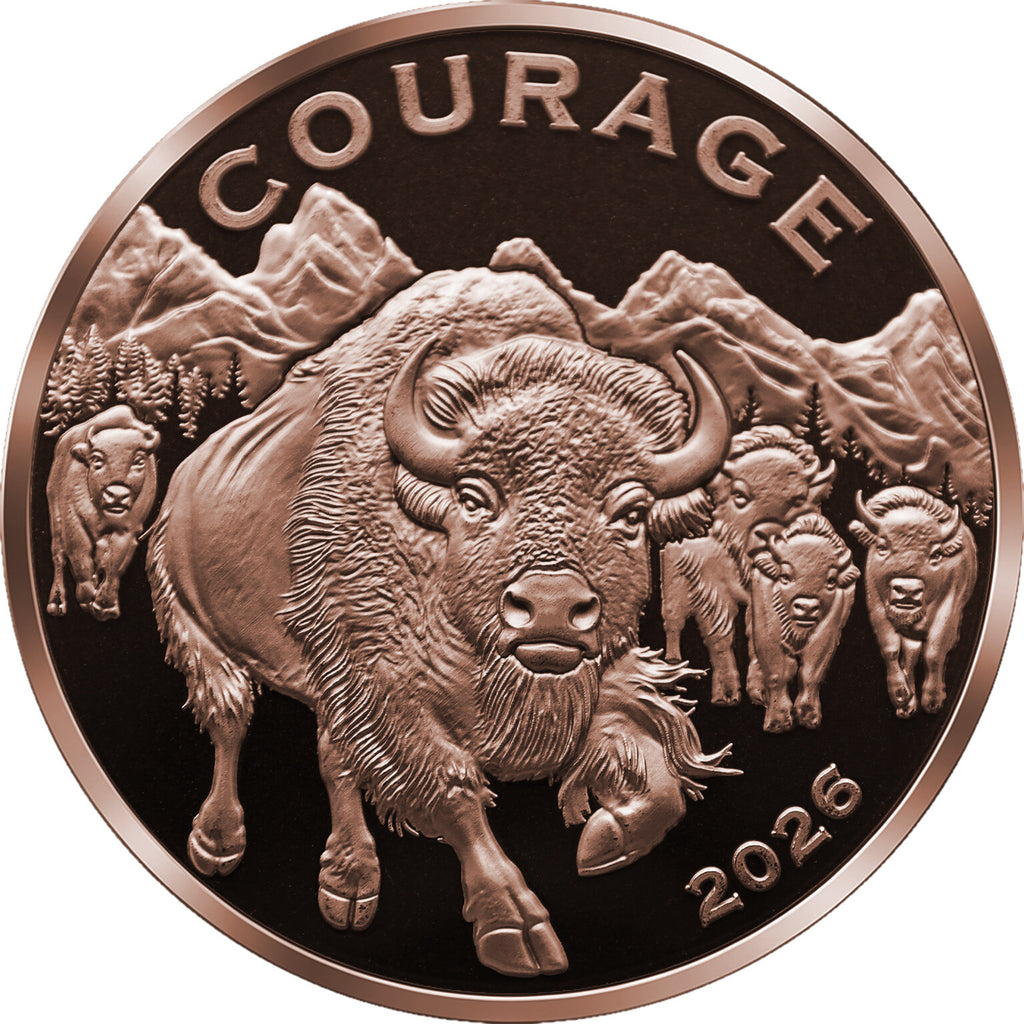 2026 Cameroon Wildlife Values Bison Courage Proof 5oz Copper Coin