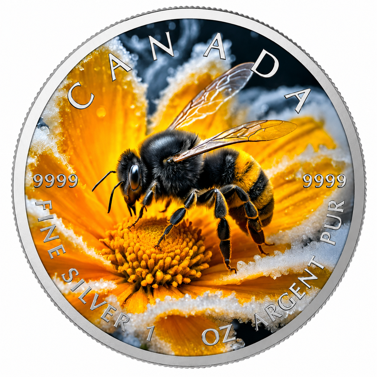 Canadian Bumble Bee 2025 Coloured 1oz Silver Coin