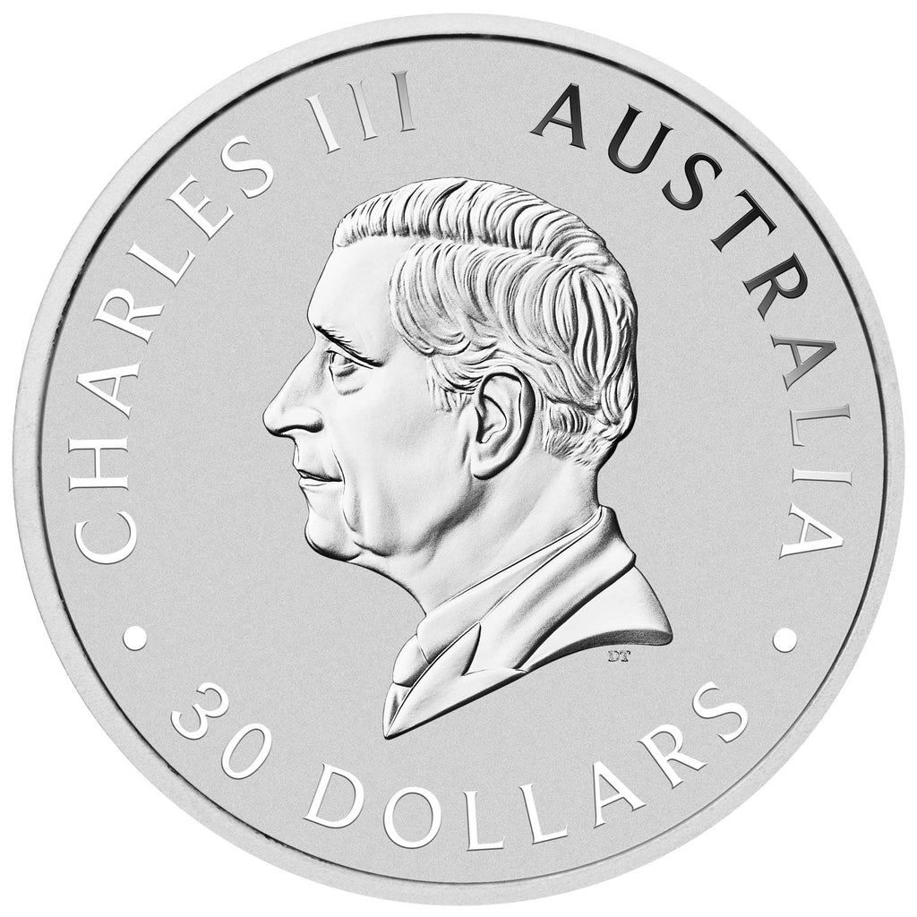 2026 Australian Koala 1kg 99.99% Silver Bullion Coin – The Perth Mint (Available on Backorder )